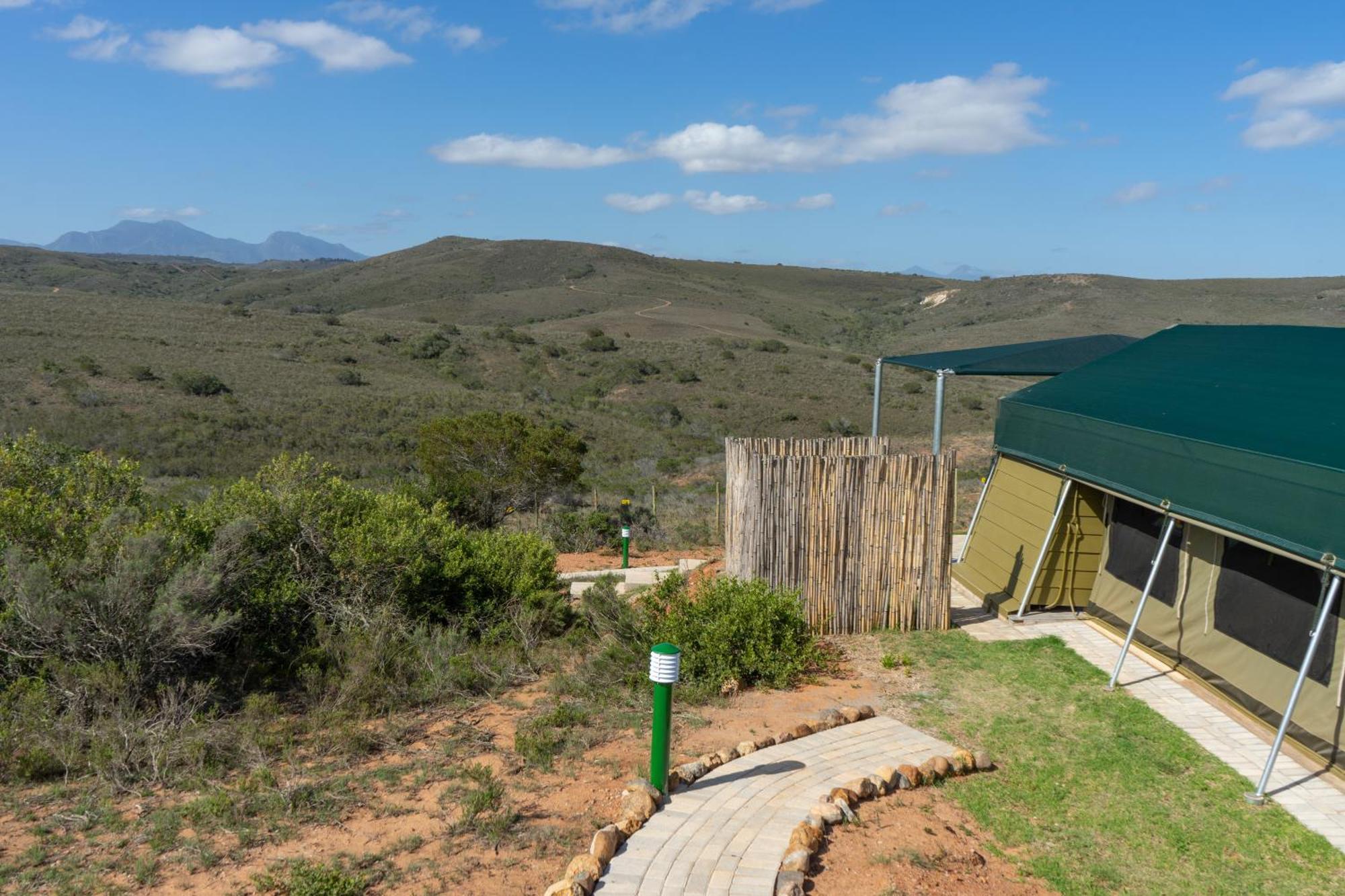 Hartenbos Private Game Lodge Exteriör bild