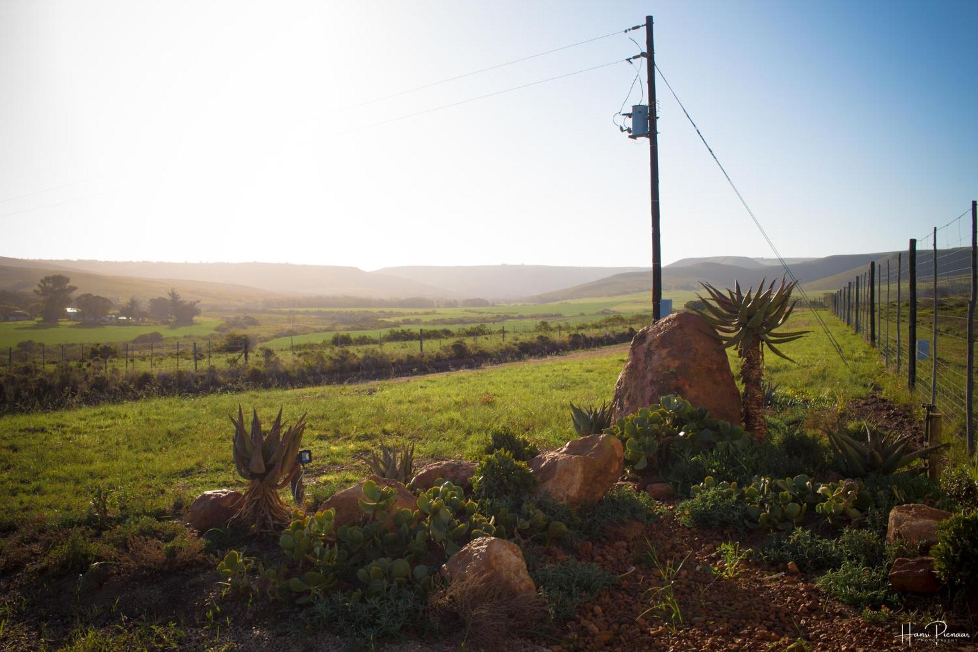 Hartenbos Private Game Lodge Exteriör bild