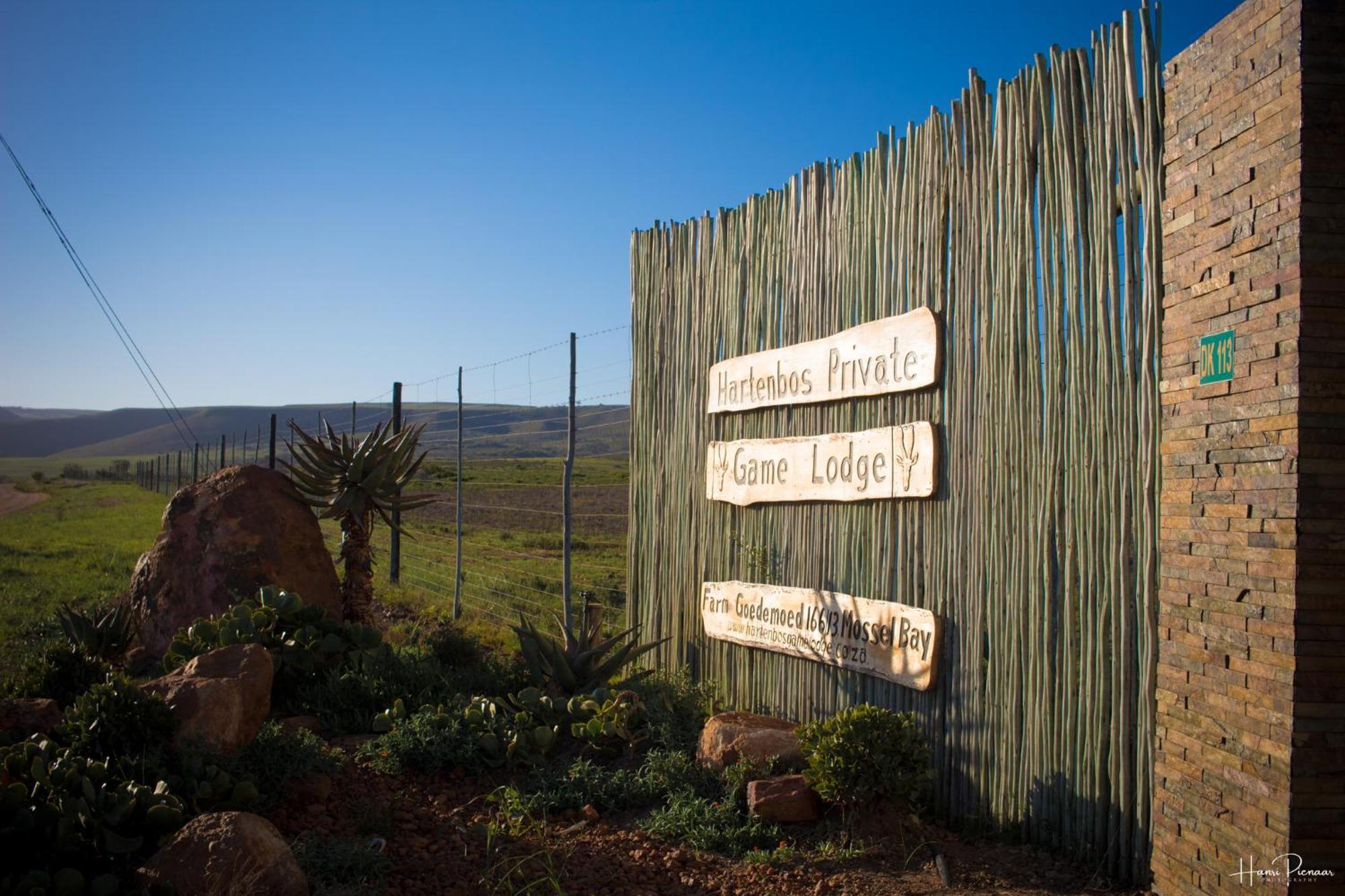 Hartenbos Private Game Lodge Exteriör bild