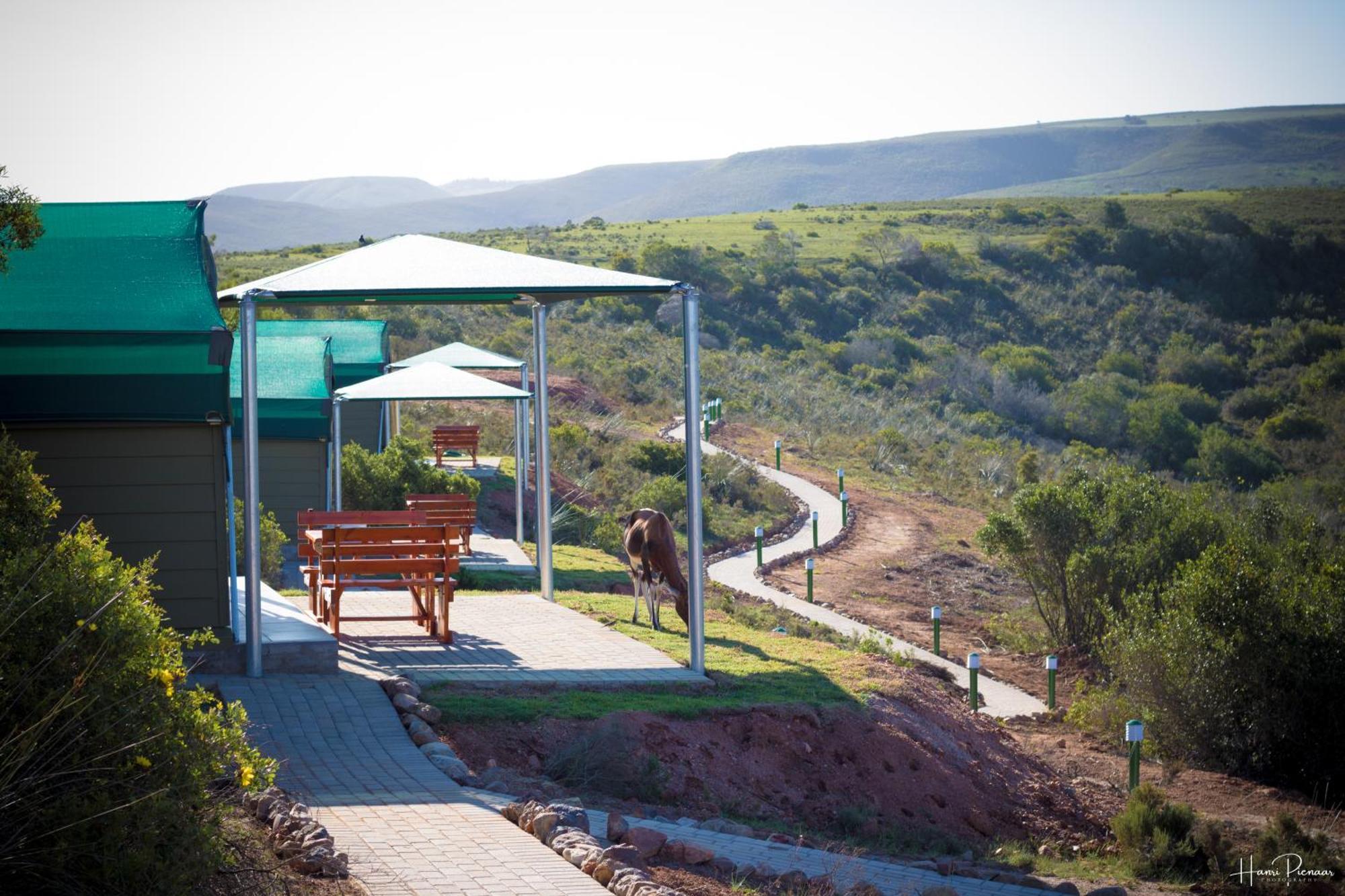 Hartenbos Private Game Lodge Exteriör bild